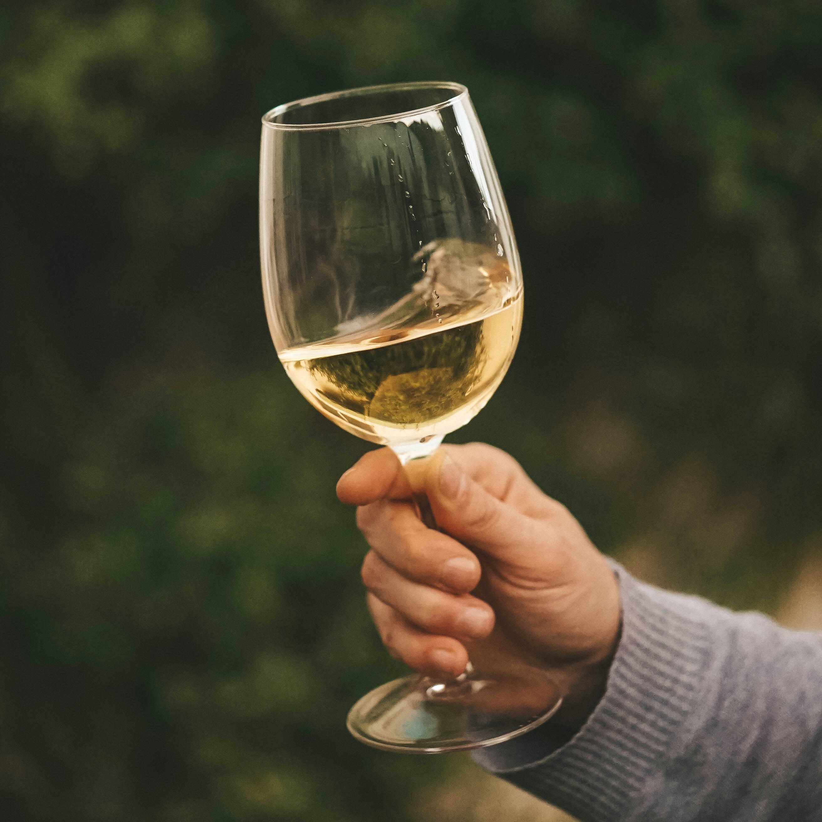 Structural Acidity: The Foundation of Age-Worthy White Wines
